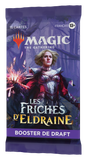 Wizards of the Coast- Magic the Gathering - Les Friches d'Eldraine